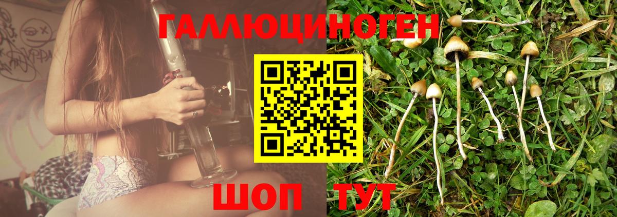 Псилоцибиновые грибы Psilocybine cubensis Каменск-Уральский