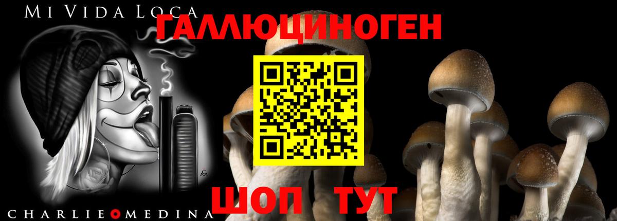 Каменск-Уральский  Галлюциногенные грибы мухоморы  цены   Вход с VPN 